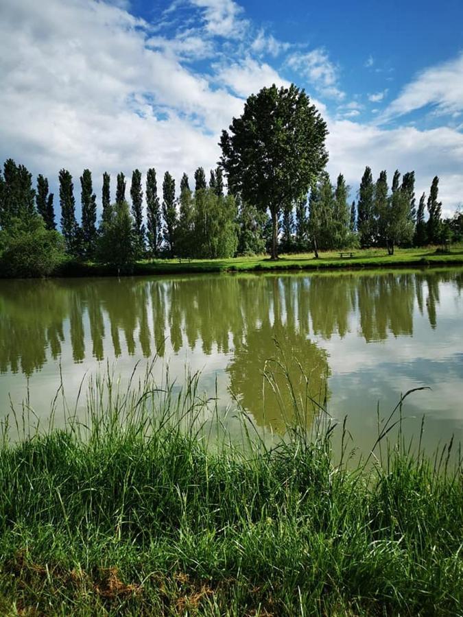L'Oasis Des Dombes Hotell Ambérieux-en-Dombes Eksteriør bilde